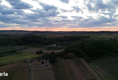Teren de 1500 mp, în Tileagd