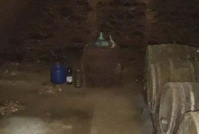 Casă cu 2 camere cu Teren 4384 Mp în Ilișua - 10