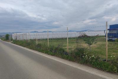 Teren de 9700 mp, în Galda de Jos