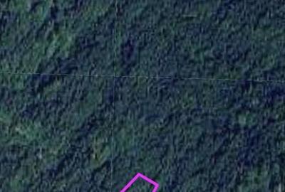 Teren extravilan de 64000 mp, în Pietroasa - 4