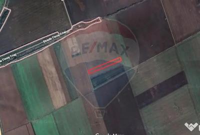Teren de 5876 mp, în Hărman - 1