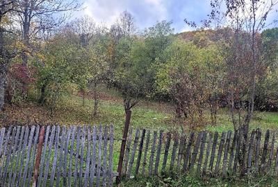 Casă în Drăgăneasa - 4