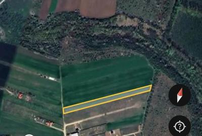 Teren de 10000 mp, în Bălteni - 7