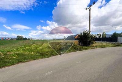Teren de 8500 mp, în Griviței