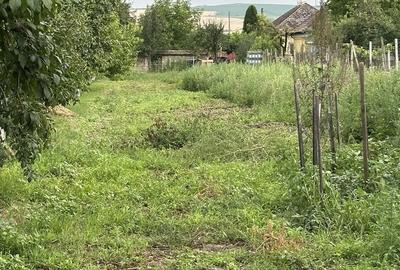 Casă cu 3 camere în Târnăveni