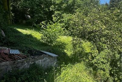 Casă cu 3 camere cu Teren 1124 Mp în Central - 7