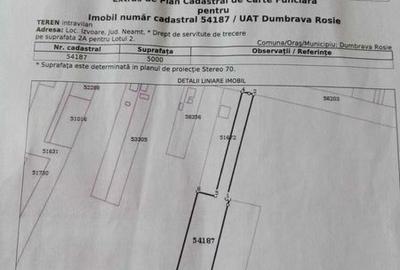 Teren de 5000 mp, în Dumbrava - 2