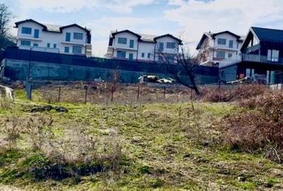 Teren Construcții intravilan de 8200 mp, în Câmpina - 12