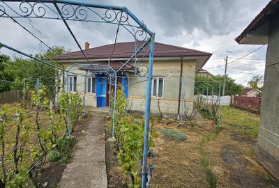 Casă cu 4 camere cu Teren 1500 Mp în Urzica - 8