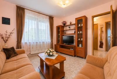 Apartament cu 3 camere decomandat în Precista - 18