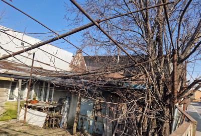 Casă cu Teren 229 Mp în Băneasa - 1