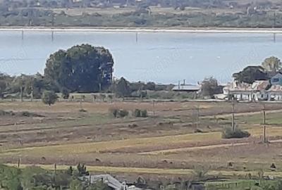 Teren de 8000 mp, în Drăgoești - 5