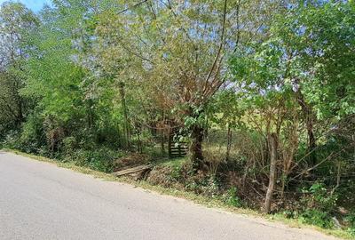 Teren de 4300 mp, în Ciurila - 1