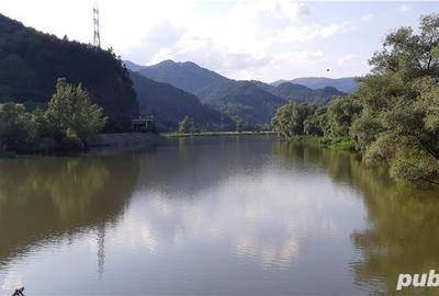 Teren de 4150 mp, în Drăgănești (Brezoi) - 2