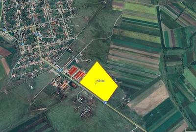 Teren de 100000 mp, în Nădab - 2