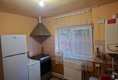 Casă cu 3 camere în Viile Noi