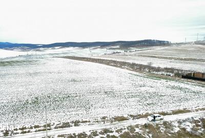 Teren de 4800 mp, în Ciritei