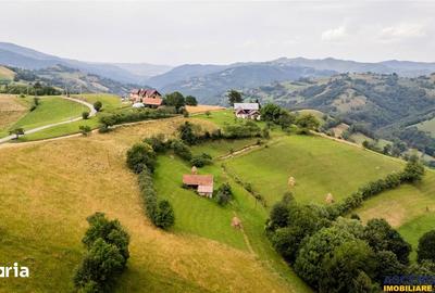 Teren de 10335 mp, în Poiana Mărului - 5