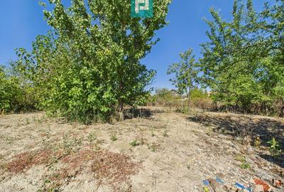 Casă individuală cu 3 camere cu Canalizare în Moravița - 13