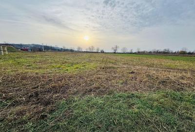 Teren intravilan de 7620 mp, în Diosig