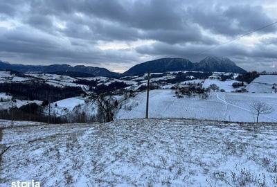Teren de 2000 mp, în Poiana Mărului - 7