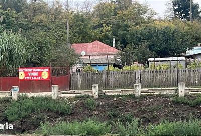 Casă cu 3 camere cu Teren 4429 Mp în Nufăru