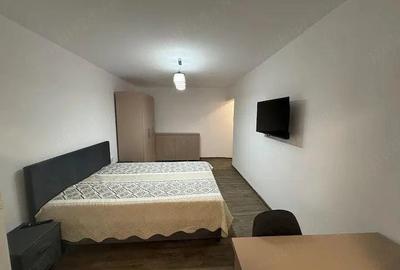 Garsonieră nedecomandată în Aradului - 4