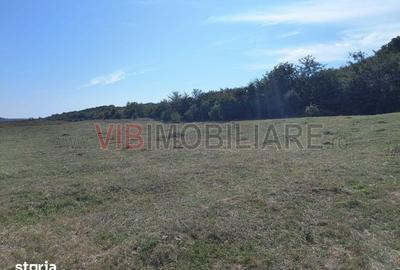 Teren de 7500 mp, în Central - 3