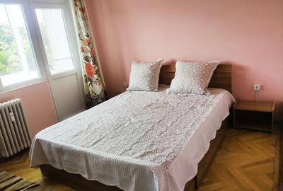 Apartament cu 2 camere semidecomandat în Bârzești - 13