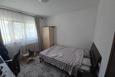 Apartament cu 2 camere decomandat, mobilat în 1 Decembrie 1918 - 8