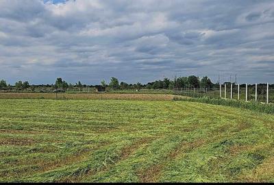 Teren Construcții intravilan de 1080 mp, în Ciolpani - 2