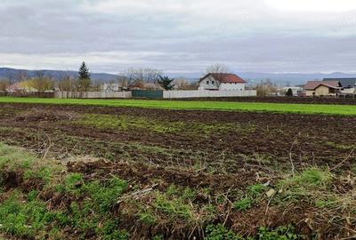 Teren de 3500 mp, în Central - 1
