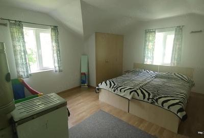 Casă cu Teren 1680 Mp în Govăjdia - 6