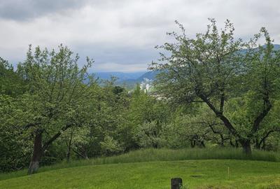 Teren de 17422 mp, în Central
