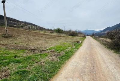 Teren de 6042 mp, în Berzasca - 7
