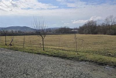Spațiu comercial, de 1,300 mp, în Blăjenii de Jos - 7