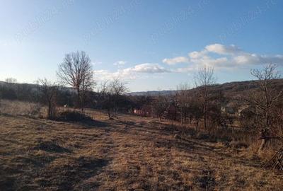Teren de 4700 mp, în Vâlsănești - 4