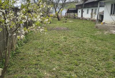Casă cu Teren 1373 Mp în Prăjoaia - 3