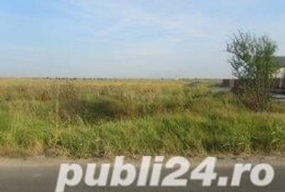 Teren de 5000 mp, în Central - 1