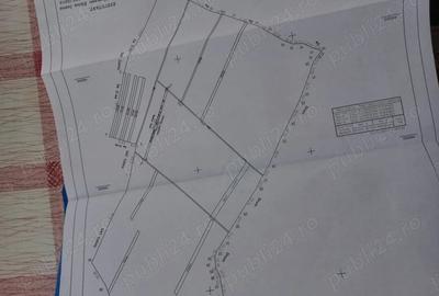 Teren de 2900 mp, în Răhău