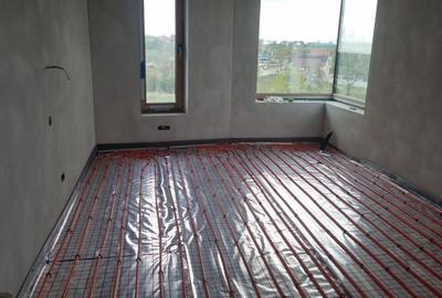 Casă cu 4 camere în Săldăbagiu de Munte - 8