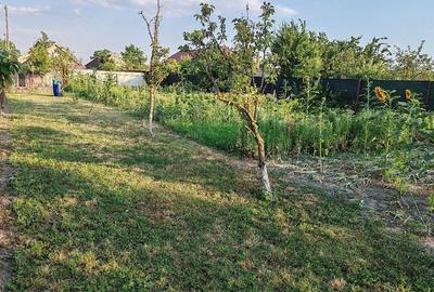 Casă cu 3 camere cu Teren 973 Mp în Pustiniș - 1