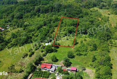 Teren de 2200 mp, în Ciofrângeni
