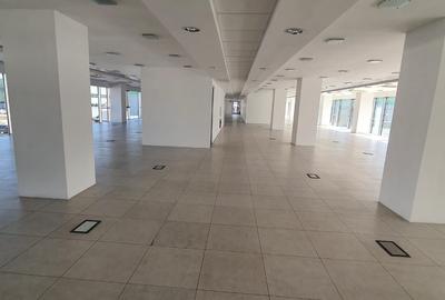 Birou, de 6,000 mp, în Dragomirești-Vale - 4