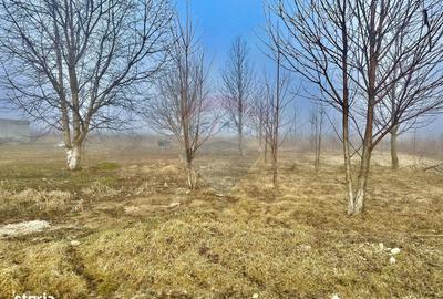 Teren de 500 mp, în Girov - 2