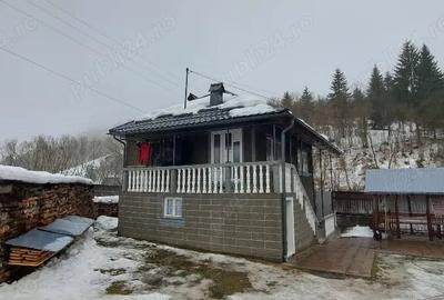 Casă cu Teren 350 Mp în Cerbu - 4