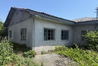 Spațiu comercial, în Jurilovca - 5