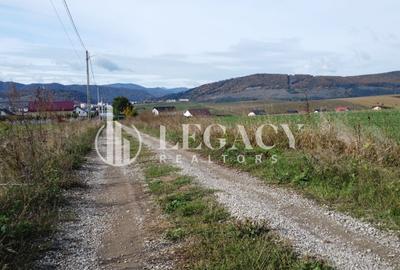 Teren agricol intravilan de 10000 mp, în Gârcina - 3