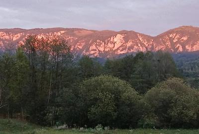 Teren de 500 mp, în Sălciua - 1