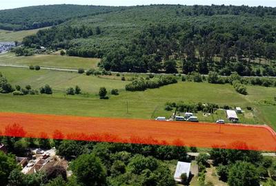 Teren Construcții intravilan de 13071 mp, în Budiului - 3